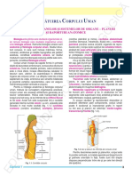 XI EDP Hutanu.pdf