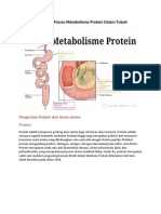 Metabolisme Protein Biologi 2.docx