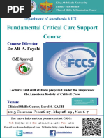 FCCS 2013 PDF