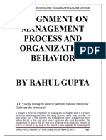 22803942-Assignment-on-Management-process-and-Organization-Behavior.doc