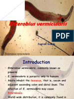 E Vermicularis