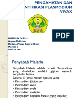 Pengamatan Dan Identifikasi Plasmodium Vivax