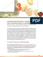 Caracterizacion Fisiologica y Bioquimica Del Fruto de Guayaba Durante La Maduracion - 2010