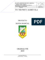 Proyecto Banda Imprimir Pequeño