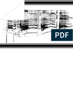 Phono Paper Record PDF