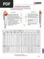 19 Manual Chain Hoists