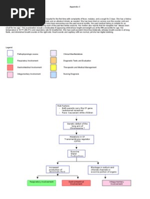 Concept Map
