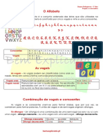 1.1  Ficha Informativa - Vogais e Consoantes.pdf