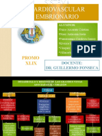 Aparato Cardiovascular Embrionario Fonseca