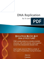 DNA Replication