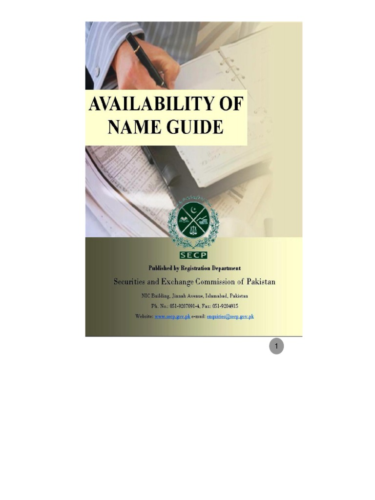 Company Name Availability Guide | PDF