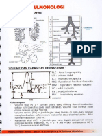 MMN Penyakit Dalam PDF