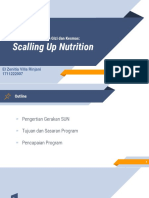 Scalling Up Nutrition