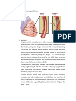 Angina Pektoris