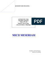 suport curs  optional Micii meseriasi