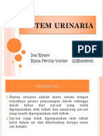 96782848-PPT-URINARIA.pptx