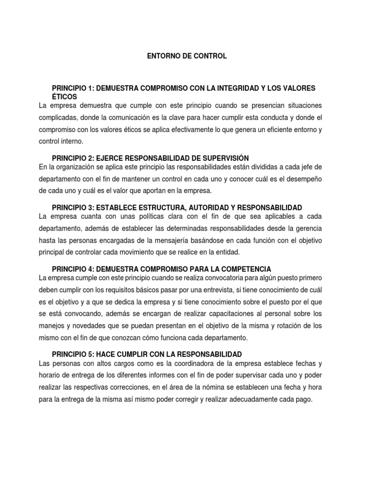 17 Principios Del Coso en La Empresa | PDF | Economias | Business