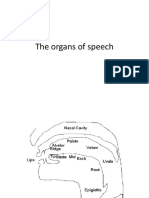 Organs of speech production and the four processes