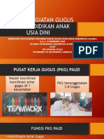 Program PKG