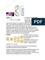 La Meiosis Es La Formación de Óvulos y Espermatozoides