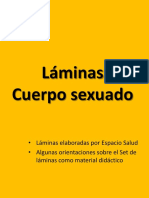 Cuerposexuado Laminas
