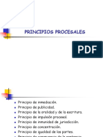 Principios Procesales