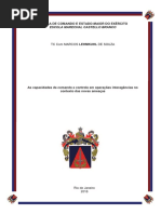 Marcos Lehmkuhl de Souza_AtuacaoInteragencias_ECEME2018