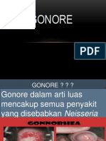 KP 4.1.5.3 A GONORE