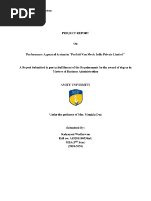 Project Report on Performance Appraisal.docx