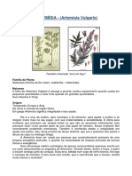 Apostila Moxabustao 2.pdf