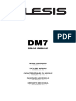 Alesis dm7 Users Manual 163307 PDF