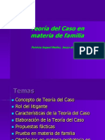 TEORIA DEL CASO EN MATERIA DE FAMILIA.pdf