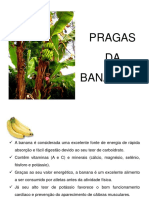 aula_banana