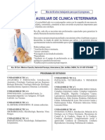 Auxiliar_de_Clinica_Veterinaria