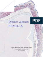 o-v-semilla.pdf