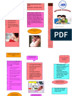 Leaflet PMK PDF