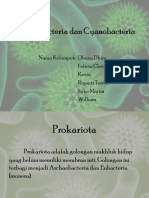 Archaebacteria Dan Cyanobacteria