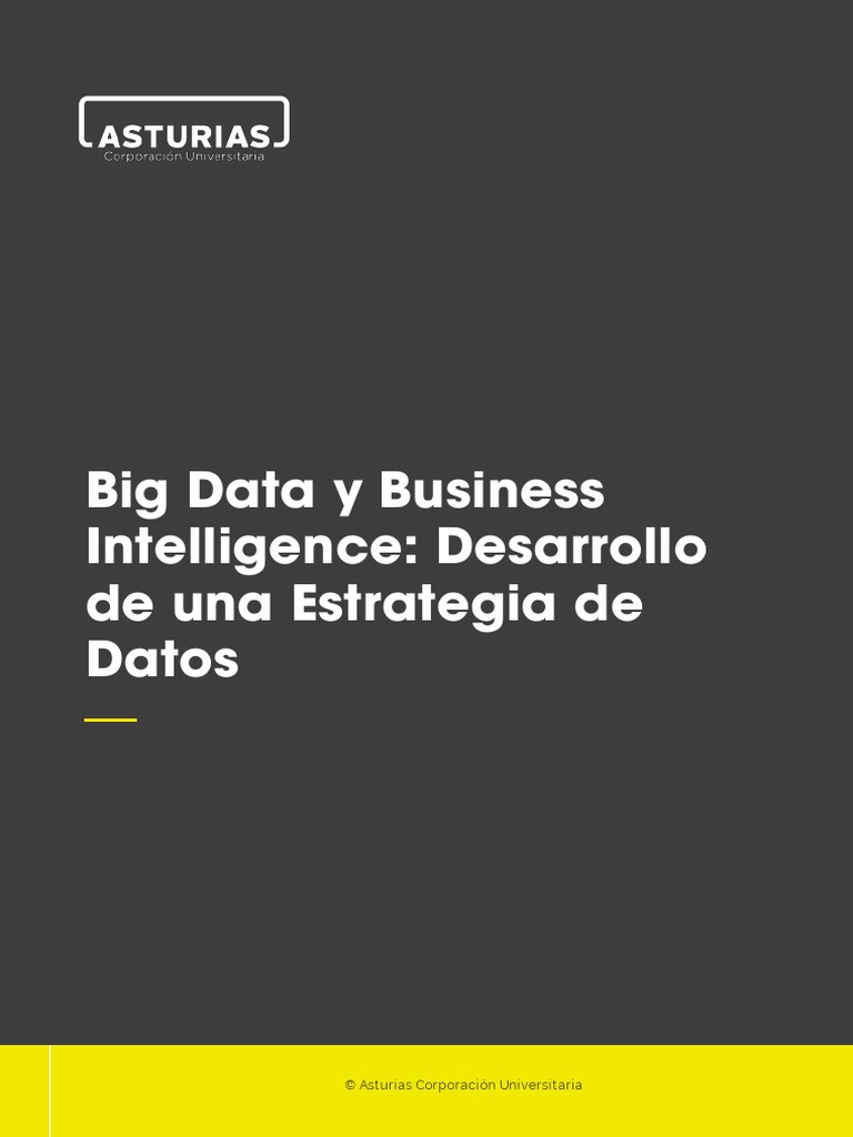 Big Data y Business Intelligence Desarrollo de Una Estrategia de Datos ...