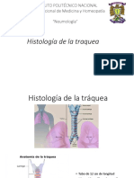 Neumología 71019