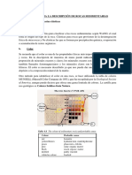 MANUAL DESCRIPCIÓN DE ROCAS SEDIMENTARIAS CLÁSTICAS_04_10_2017.docx