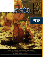 Gaceta 32