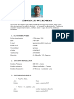 CURRICULUM PIERO.docx