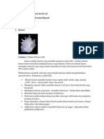 Deskripsi Mineral Dan Batuan