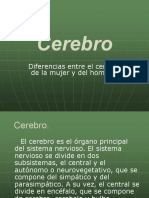 ANALISIS DE CEREBRO.pdf