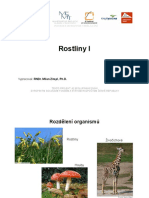 Rostliny 1 PDF