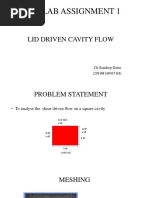 Lid Driven Cavity Simulation