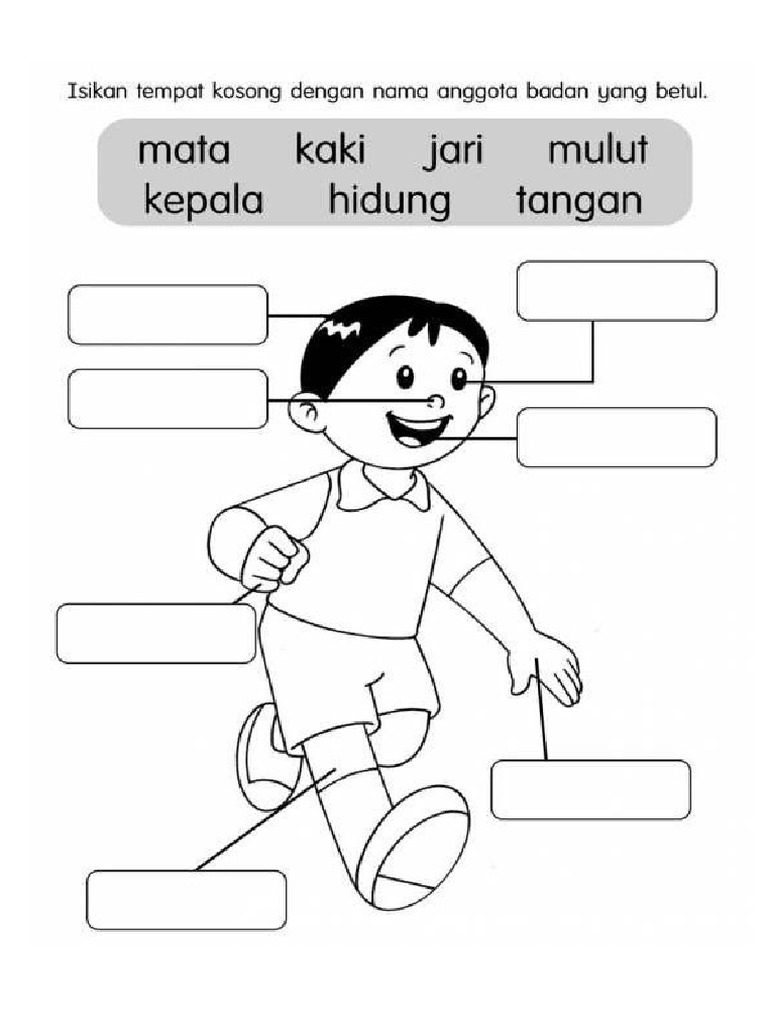 Anggota Tubuh Badan Pdf