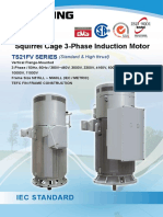 3-Phase Induction Motor