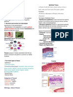 Animal Tissues 22