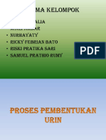 Bab 3 - Proses Pembentukan Urine